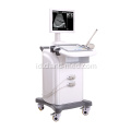 B / W Trolley Ultrasound Scanner Mesin Ultrasound Harga Bagus